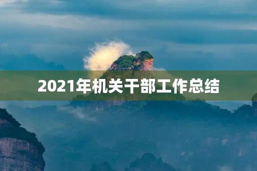 2021年机关干部工作总结