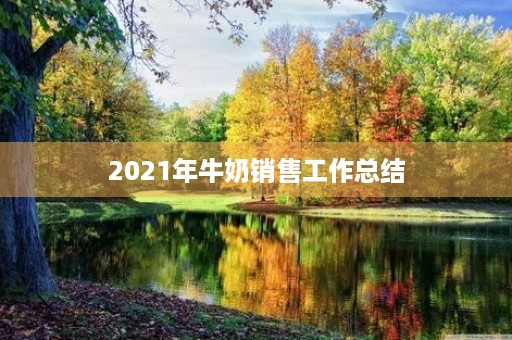 2021年牛奶销售工作总结