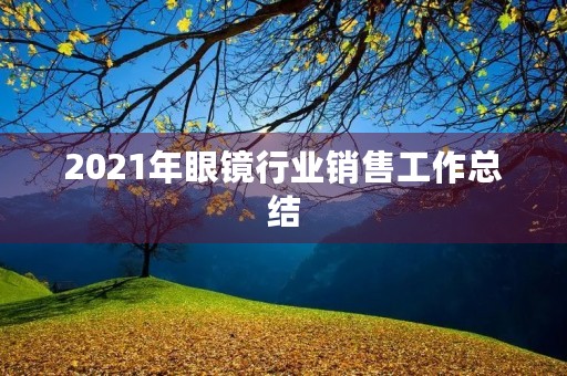2021年眼镜行业销售工作总结