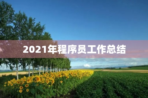 2021年程序员工作总结