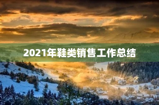 2021年鞋类销售工作总结