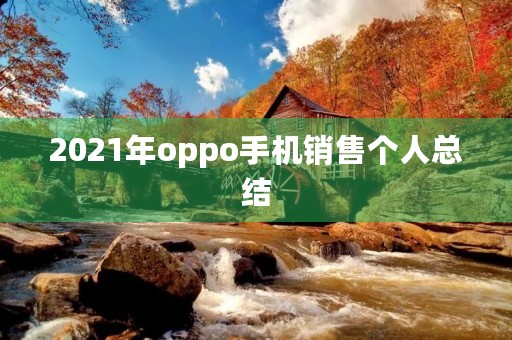 2021年oppo手机销售个人总结