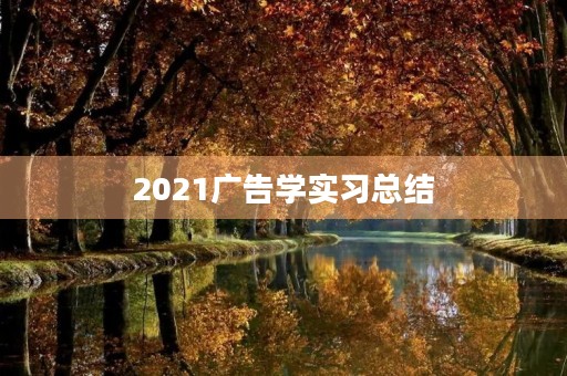 2021广告学实习总结 2021广告学实习总结