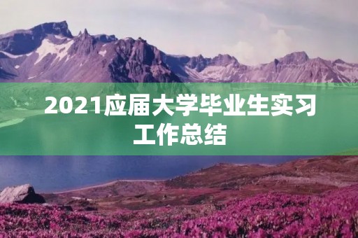 2021应届大学毕业生实习工作总结 2021应届大学毕业生实习工作总结