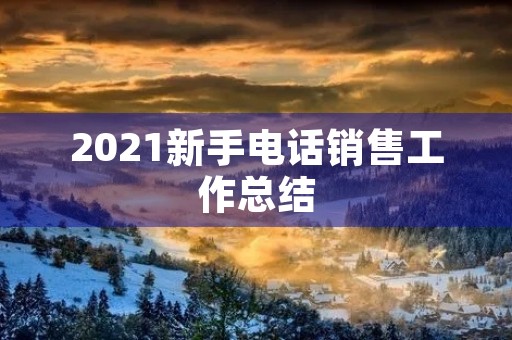 2021新手电话销售工作总结