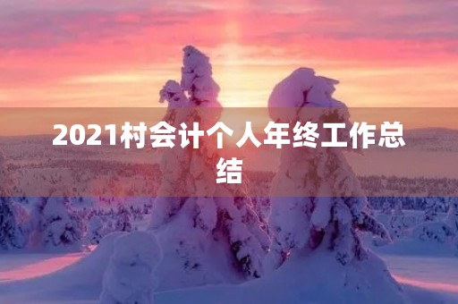 2021村会计个人年终工作总结
