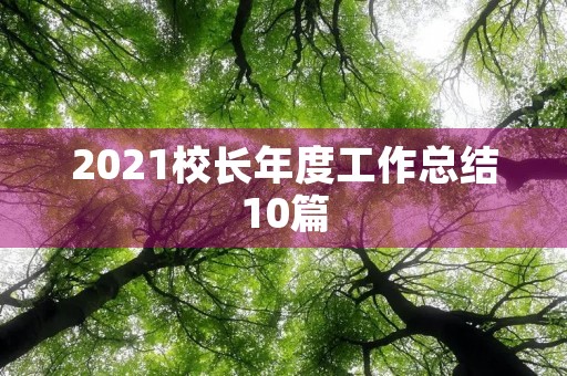 2021校长年度工作总结10篇