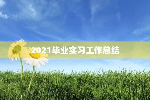 2021毕业实习工作总结
