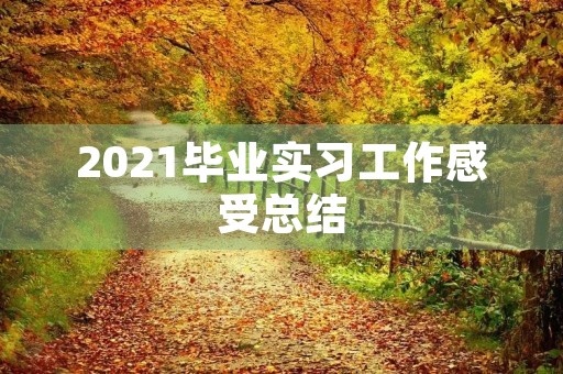2021毕业实习工作感受总结