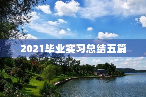 2021毕业实习总结五篇 2021毕业实习总结五篇