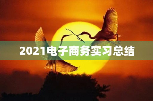2021电子商务实习总结 2021电子商务实习总结