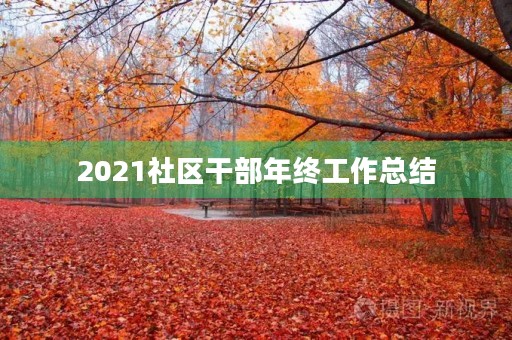 2021社区干部年终工作总结 2021社区干部年终工作总结