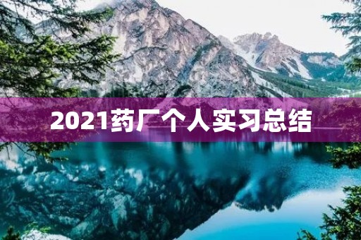 2021药厂个人实习总结 2021药厂个人实习总结