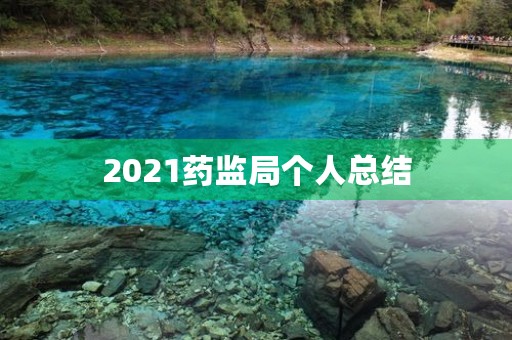2021药监局个人总结 2021药监局个人总结