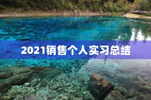 2021销售个人实习总结 2021销售个人实习总结