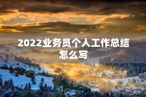 2022业务员个人工作总结怎么写