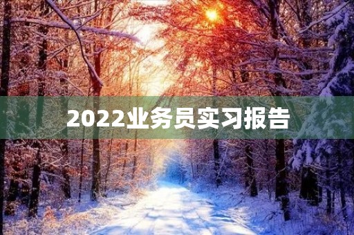 2022业务员实习报告