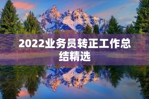 2022业务员转正工作总结精选