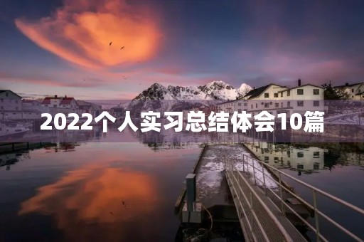 2022个人实习总结体会10篇