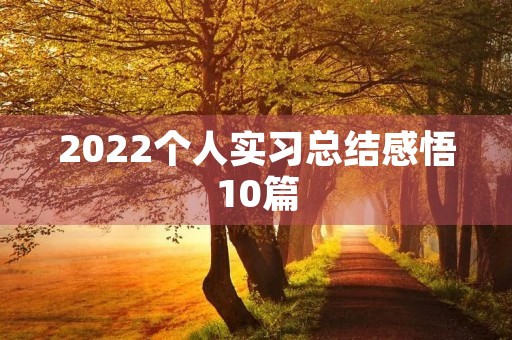 2022个人实习总结感悟10篇