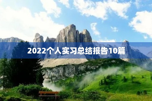 2022个人实习总结报告10篇