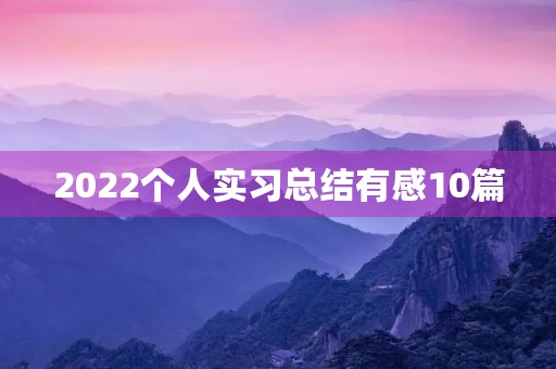 2022个人实习总结有感10篇