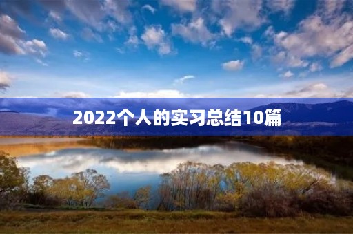 2022个人的实习总结10篇