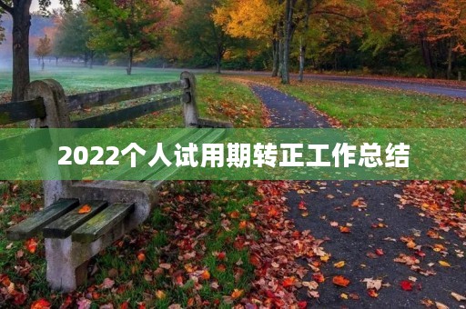 2022个人试用期转正工作总结