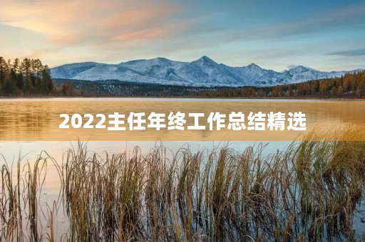 2022主任年终工作总结精选