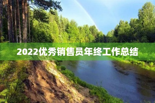 2022优秀销售员年终工作总结