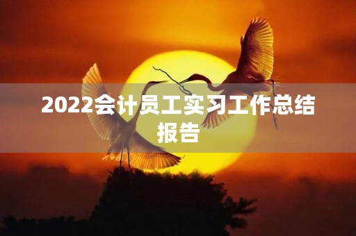 2022会计员工实习工作总结报告 2022会计员工实习工作总结报告