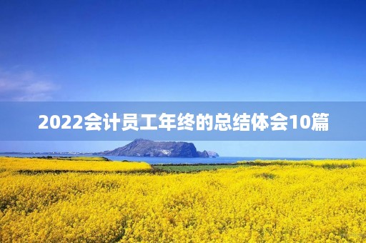 2022会计员工年终的总结体会10篇