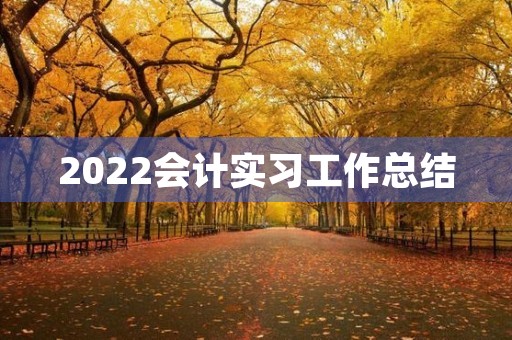2022会计实习工作总结