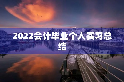 2022会计毕业个人实习总结