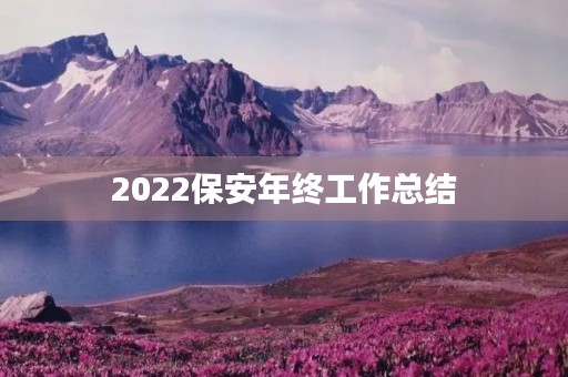 2022保安年终工作总结