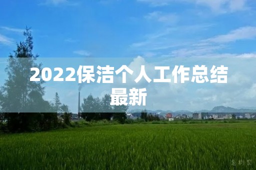 2022保洁个人工作总结最新