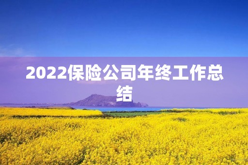 2022保险公司年终工作总结