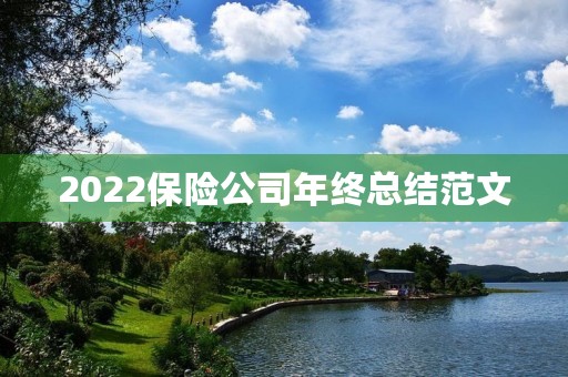 2022保险公司年终总结范文 2022保险公司年终总结范文
