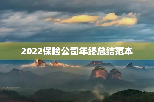 2022保险公司年终总结范本