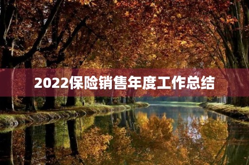 2022保险销售年度工作总结
