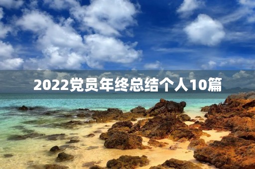 2022党员年终总结个人10篇