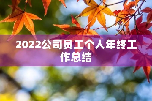 2022公司员工个人年终工作总结 2022公司员工个人年终工作总结