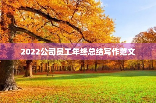 2022公司员工年终总结写作范文 2022公司员工年终总结写作范文