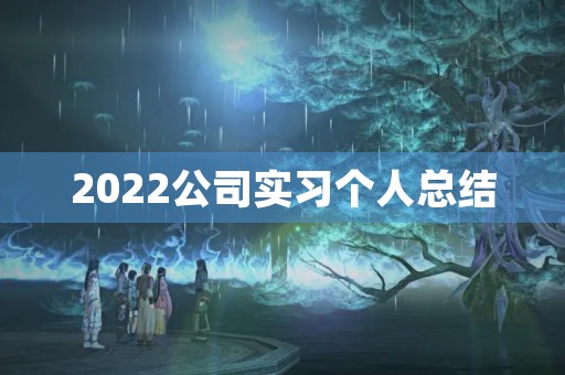 2022公司实习个人总结