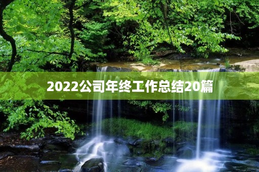 2022公司年终工作总结20篇