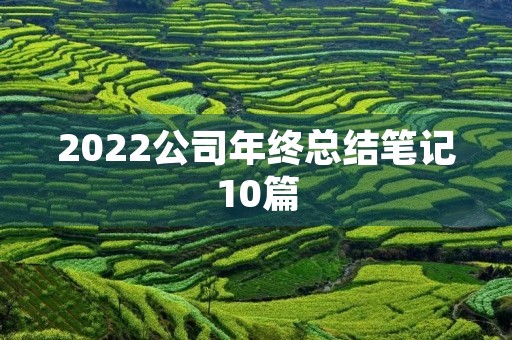 2022公司年终总结笔记10篇