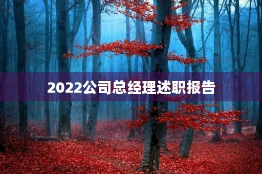 2022公司总经理述职报告