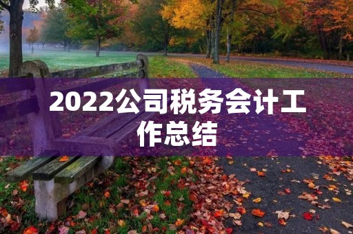 2022公司税务会计工作总结