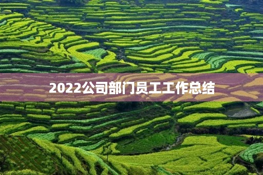 2022公司部门员工工作总结 2022公司部门员工工作总结