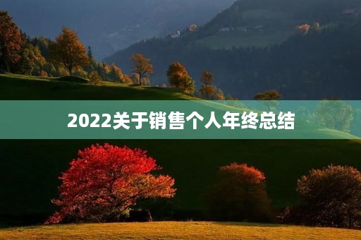2022关于销售个人年终总结